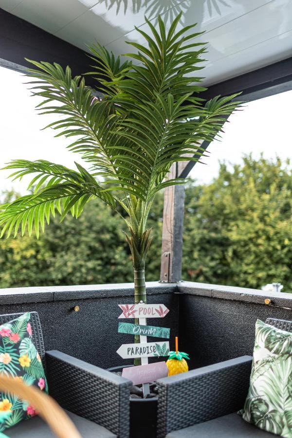 Dynasty 100m2 Jacuzzi Terrasse Holtzheim